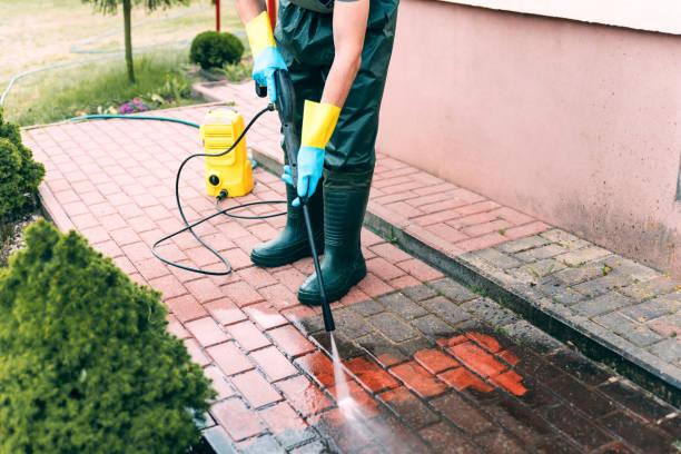 Animal Enclosure Cleaning in Makawao, HI
